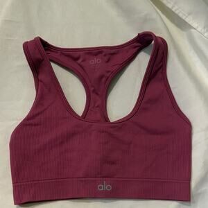 Alo Ribbed Seamless Bra in Magenta Crush size small